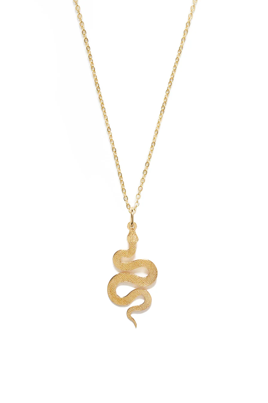 Snake Charmer Necklace